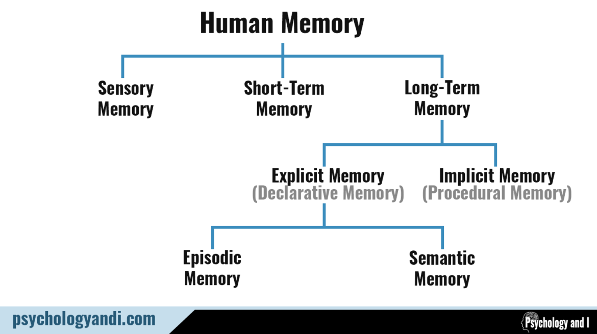research topics about memory in psychology